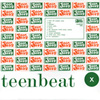 Teen-Beat One Hundred 100 compilation album